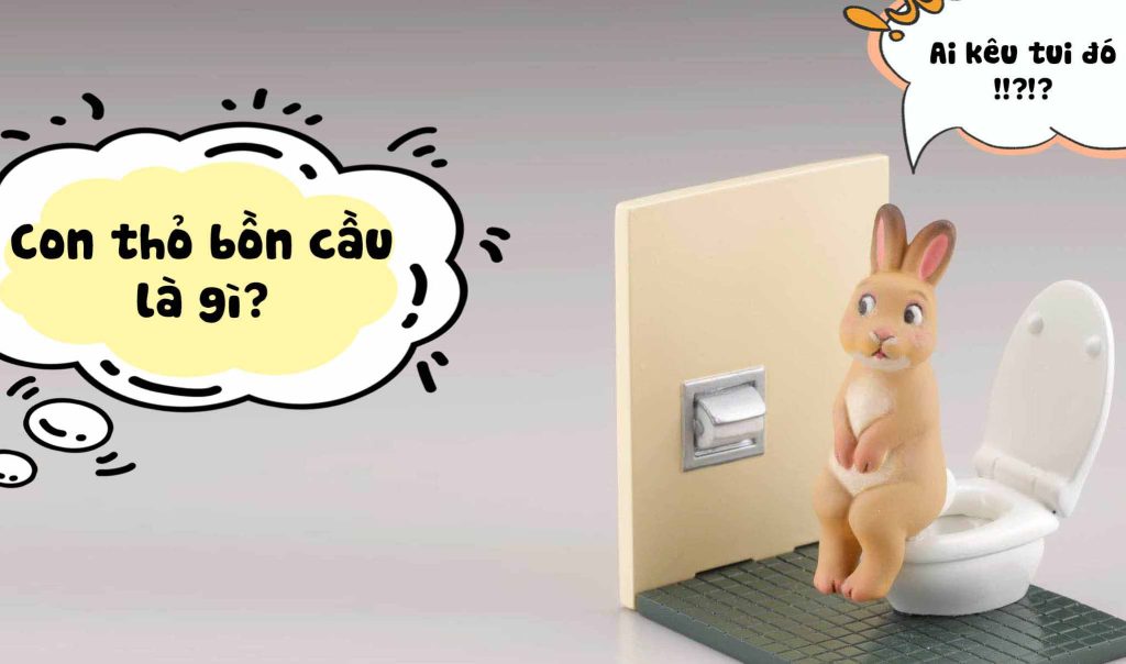 What Is a Toilet Rabbit? Why Anti-Fragrance Toilets?