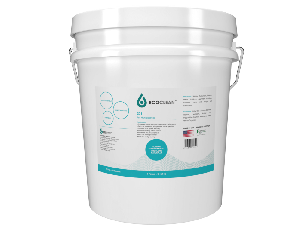 Microbiology | Domestic Wastewater Treatment – EcoClean