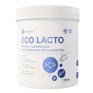 Eco Lacto™ - Food Additive - Bacillus and Lactobacillus Probiotics For Shrimp and Fish