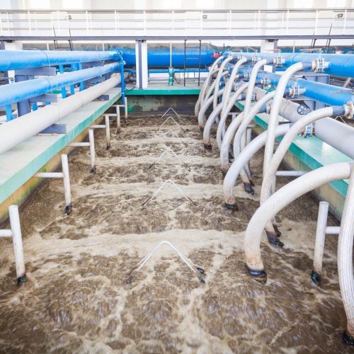 microbiology-domestic-wastewater-treatment-1 microbiology-domestic-wastewater-treatment-1
