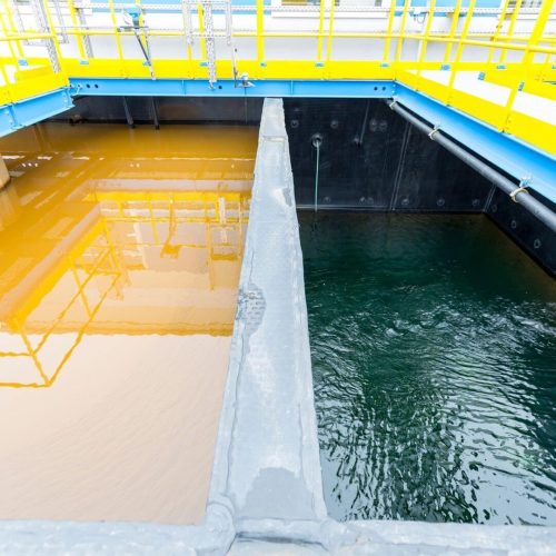 microbiology-domestic-wastewater-treatment-2 microbiology-domestic-wastewater-treatment-2